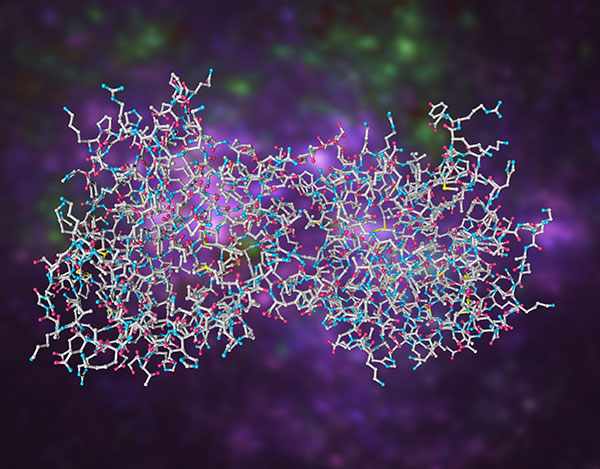 fusion proteins